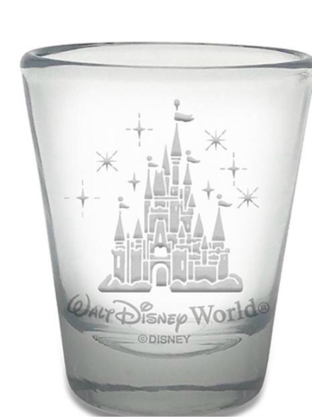 Disney World Shot Glass